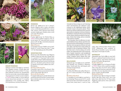 Rocky Mountain Field Guide - A Trailside Natural History