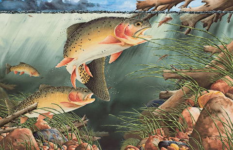 Paul Twitchell- Take Out on the West Fork