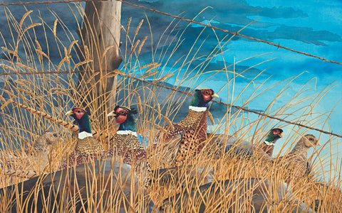 Paul Twitchell- Bluff Ridge Ringnecks