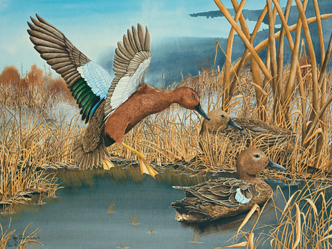 Paul Twitchell- Marsh Creek Cinnamons