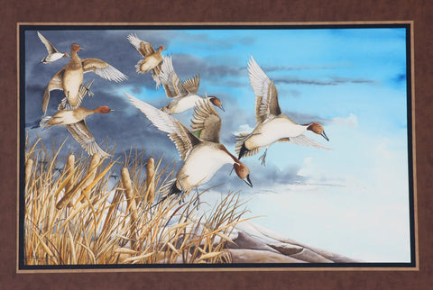 Paul Twitchell- Little Mountain Pintails