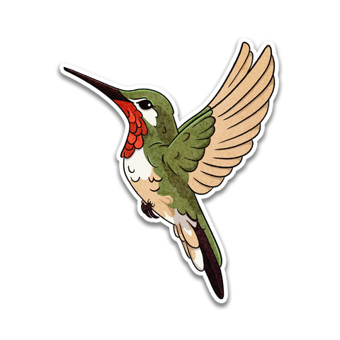 Ruby Throated Hummingbird Sticker