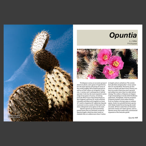The Cactus Flora of Utah - Taxonomy and Distribution