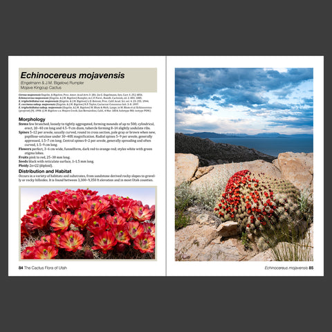 The Cactus Flora of Utah - Taxonomy and Distribution