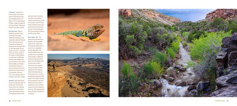 Living River The Promise of the Mighty Colorado