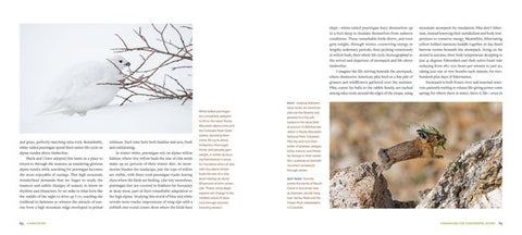 Living River The Promise of the Mighty Colorado