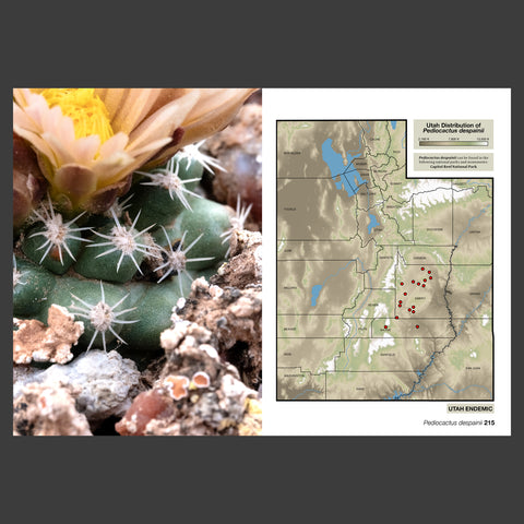 The Cactus Flora of Utah - Taxonomy and Distribution