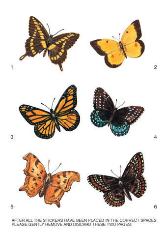 Learning About Butterflies (Dover Little Activity Books: Insects)