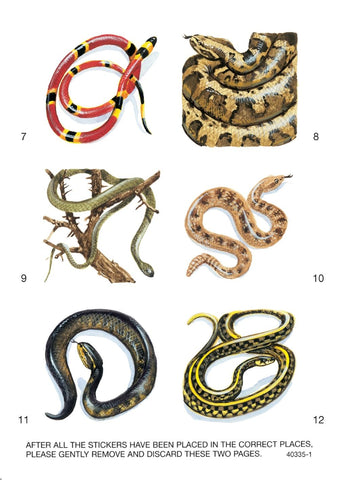 Learning About Snakes (Dover Little Activity Books: Animals)