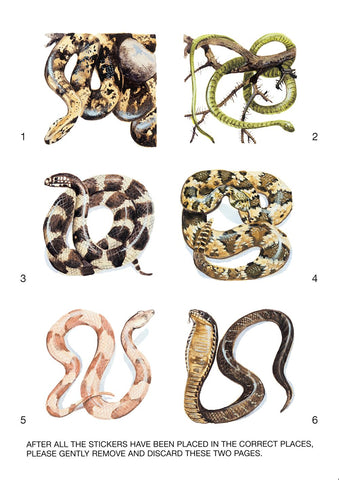 Learning About Snakes (Dover Little Activity Books: Animals)