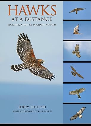 Hawks at a Distance: Identification of Migrant Raptors