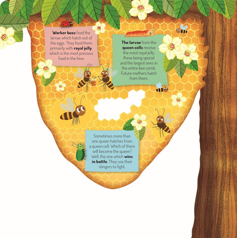 Discovering the Busy World of the Beehive (Happy Fox Books) Board Book Teaches Kids Ages 3-6 about Bees, Exploring a Hive with Each Page, plus Educational Facts and Vocabulary Words
