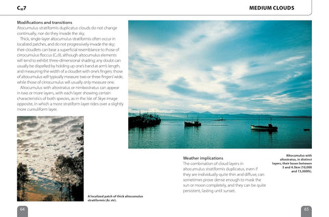 The Pocket Cloud Book Updated Edition: How to Understand the Skies