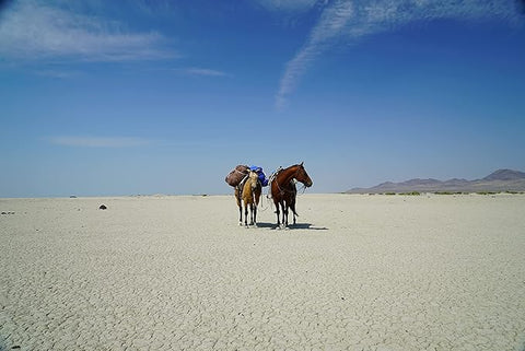 The Last Ride of the Pony Express: My 2,000-mile Horseback Journey into the Old West
