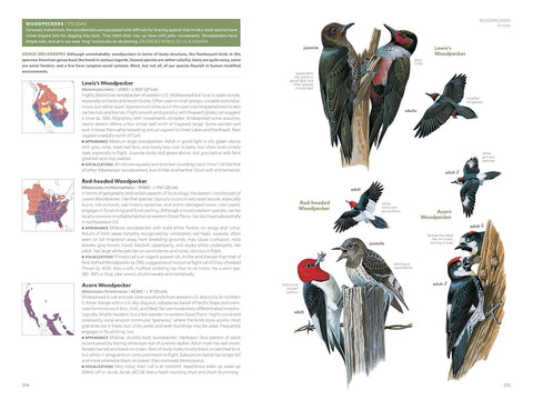 National Geographic Field Guide to the Birds of the United States and Canada, 8th edition