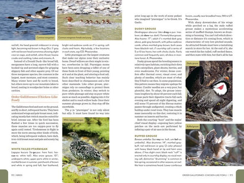 Rocky Mountain Field Guide - A Trailside Natural History