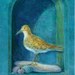 Birds of the West: An Artist's Guide