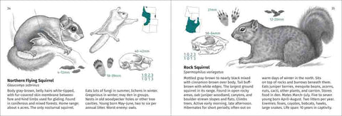 Rocky Mountain Mammal Finder