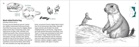 Rocky Mountain Mammal Finder