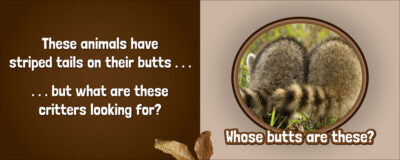 Whose Butt?