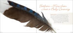 Feathers