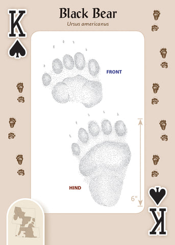 Animal Tracks of the Rocky Mountains Playing Cards