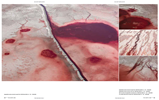Preserving Greatness : Great Salt Lake in Photographs