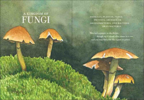 The Wonder of Mushrooms