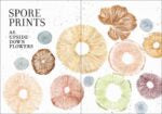 The Wonder of Mushrooms