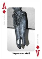 Fossils Playing Cards