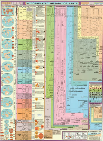 A Correlated History of Earth