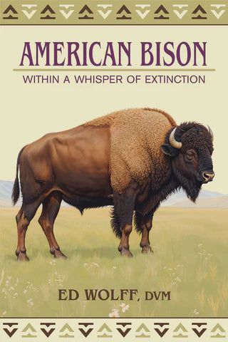 American Bison Within a Whisper of Extinction