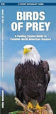 Birds of Prey:ing Pocket Guide to Familiar North American Raptors