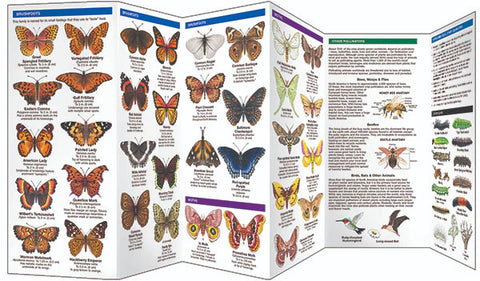 BUTTERFLIES & POLLINATORS POCKET FIELD GUIDE