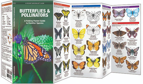 BUTTERFLIES & POLLINATORS POCKET FIELD GUIDE