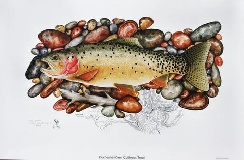Paul Twitchell- Duchesne River Cutthroat