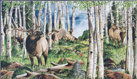 Paul Twitchell- Troubles Brewin' on Hobble Creek