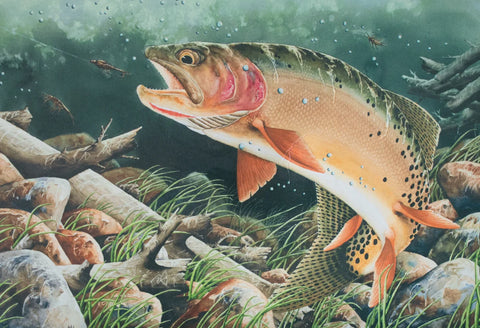 Paul Twitchell- Deadwood Creek Delight