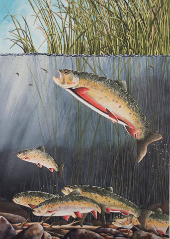 Paul Twitchell- Boulder Mountain Brookie