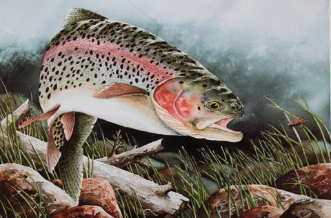 Paul Twitchell- Rainbow on the Little Muddy