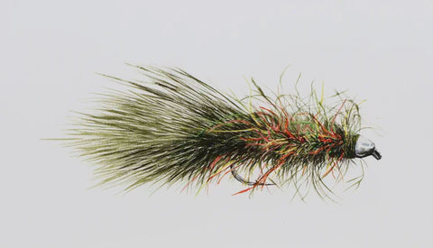 Paul Twitchell- Wiggle Flash Bug