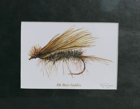 Paul Twitchell- Elk Hair Caddis