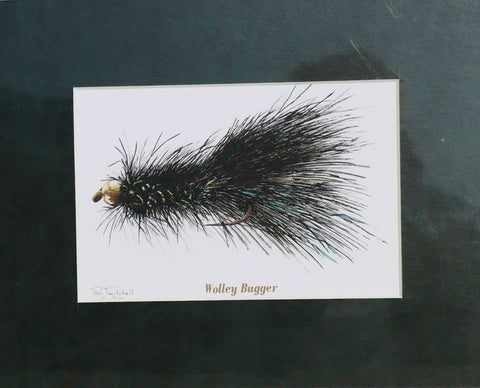 Paul Twitchell- Wolley Bugger