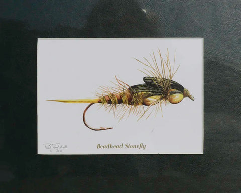 Paul Twitchell- Beadhead Stonefly