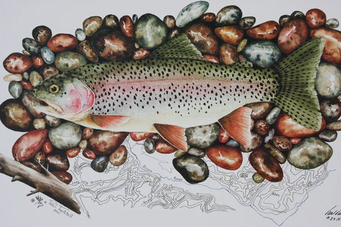 Paul Twitchell- Rainbow Trout on Provo River