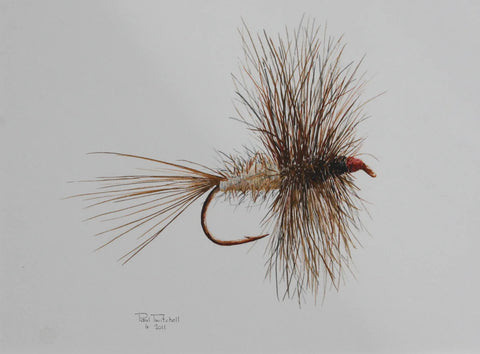 Paul Twitchell- Wiskered Midget