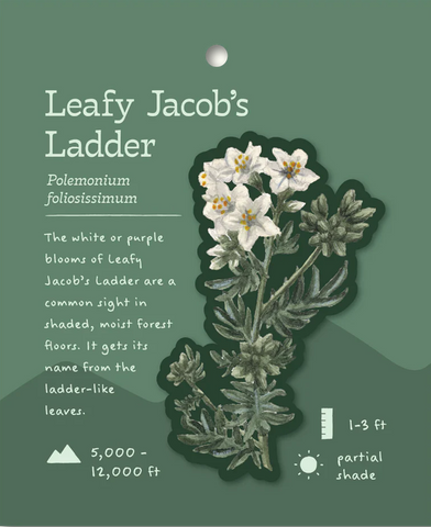 Leafy Jacob's Ladder Sticker and Bite-Sized Field Guide