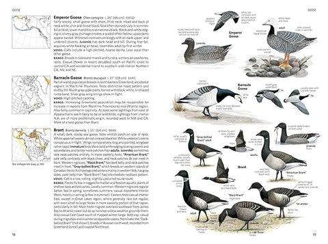 National Geographic Field Guide to the Birds of North America