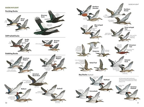 National Geographic Field Guide to the Birds of North America