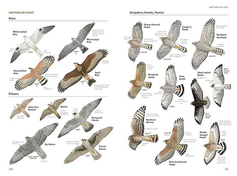 National Geographic Field Guide to the Birds of North America
